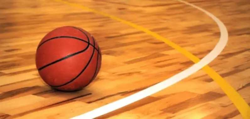 Home Basketball Hoop / Mini Hoop / Gray Wood Basketball Hoop / Orange Basketball  Rim / Sports Room Decor / Office Basketball Hoop / NBA -  Canada
