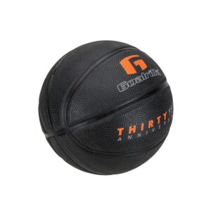 goalrilla-anniversary-basketball-2