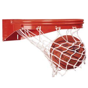 goalsetter-double-static-rim-1.jpg