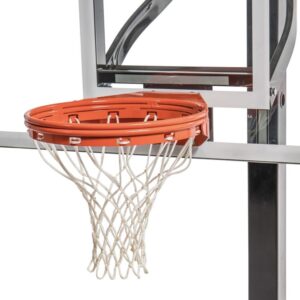 goalsetter-double-static-rim-2.jpg