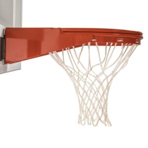 goalsetter-double-static-rim-4.jpg
