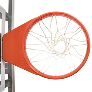 goalsetter-double-static-rim-5.jpg