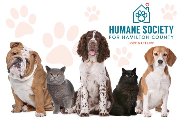 Humane Society for Hamilton County Fundraiser